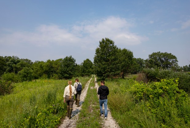 Visitors tour Seidner Dune and Swale, a major restoration site along the Grand Calumet River in Hammond, Indiana on on July 31, 2025. (Brian Cassella/Chicago Tribune)