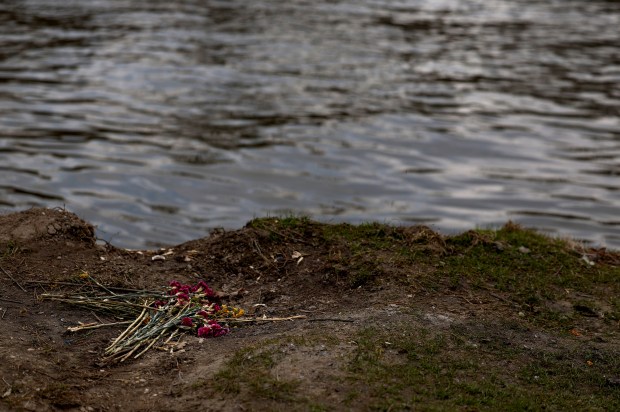 Fuchsia and yellow flowers lie on the ground on April...