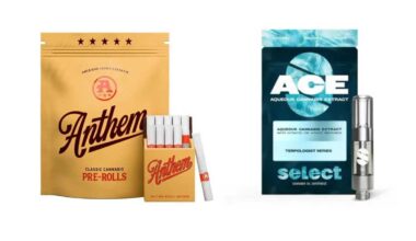 Curaleaf launches two new cannabis products in New York, putting innovative spin on classic offerings