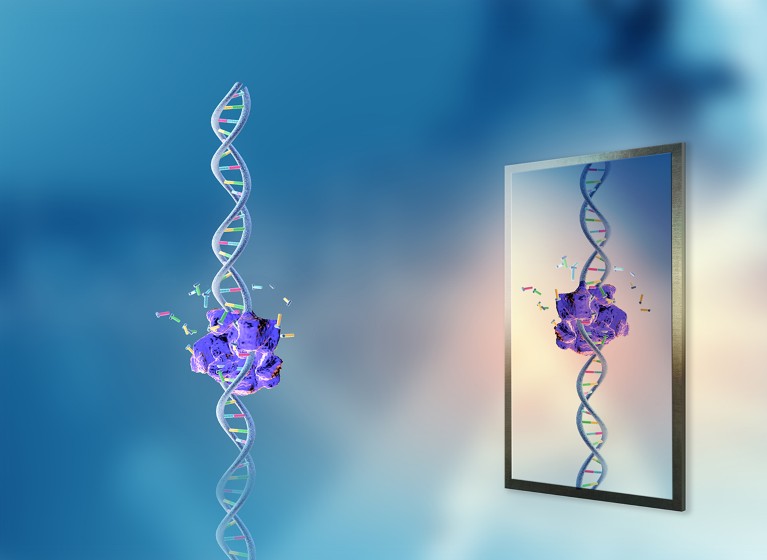A conceptual illustration of mirror-image DNA replication.