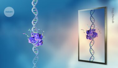 How should ‘mirror life’ research be restricted? Debate heats up