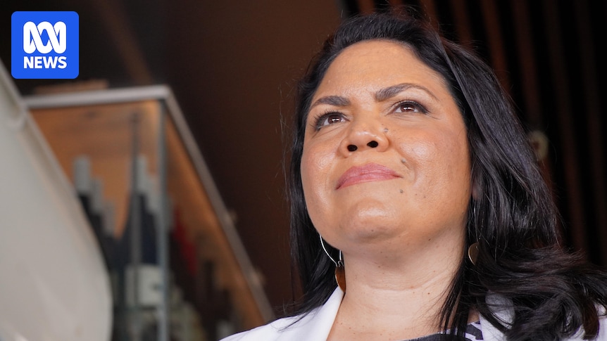 Liberal senator Jacinta Nampijinpa Price admits Labor migration vote-stacking claims were a 'mistake'