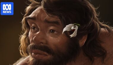 Million-year-old skull reconstruction hints at a new chapter in human evolution