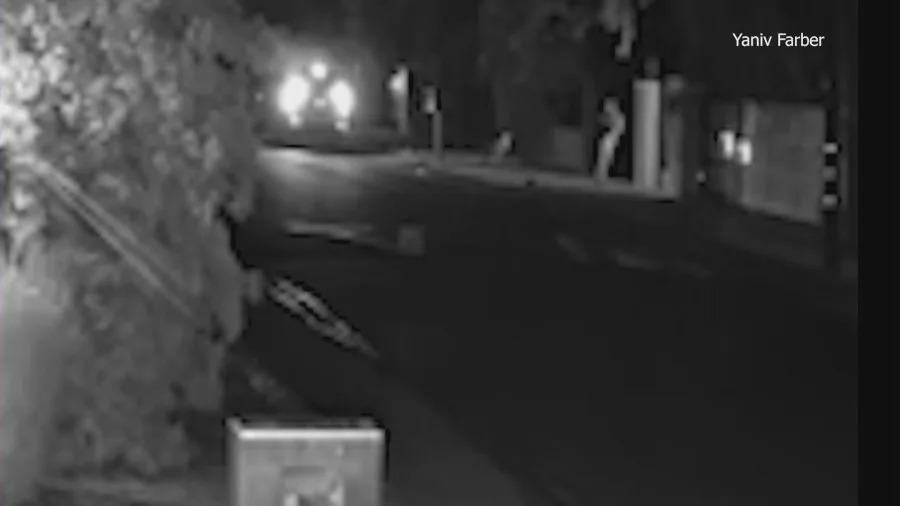 Woodland Hills break-in
