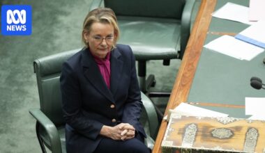 Sussan Ley declines to apologise for Jacinta Nampijinpa Price's comments that 'hurt' Indian Australians