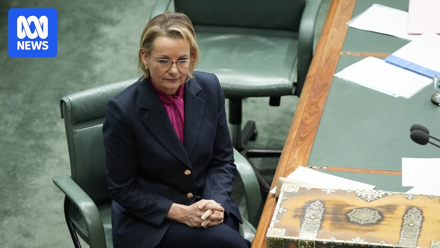 Sussan Ley declines to apologise for Jacinta Nampijinpa Price's comments that 'hurt' Indian Australians