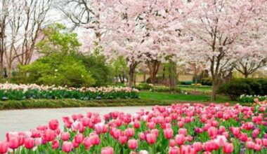 8 favorite destinations in Dallas to walk outdoors