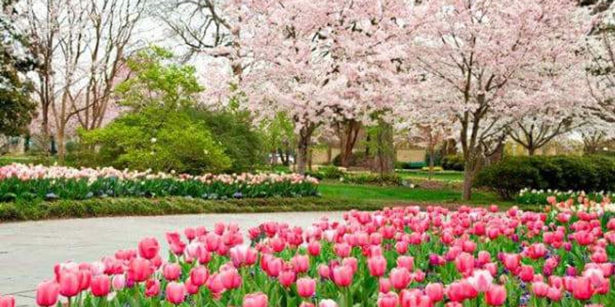 8 favorite destinations in Dallas to walk outdoors