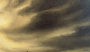 J. Peeler Howell Fine Art presents Dawn Waters Baker: "Petrichor" opening reception
