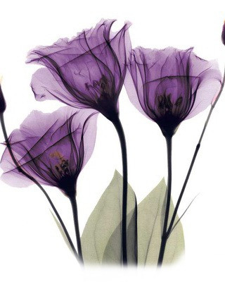 ELLEN WILSON SAUNDERS - May 21, 1929 — September 9, 2025