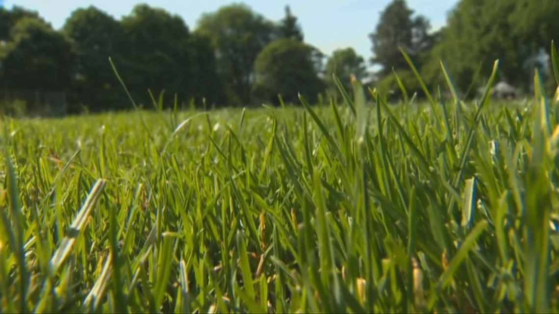 San Antonio offers $500 coupon for drought-resistant plants