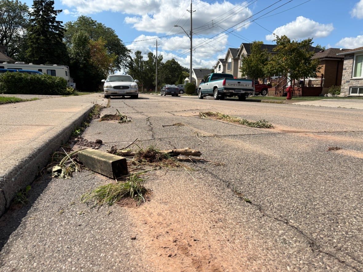 Twigs and a piece of cement on a road where red mud has dried
