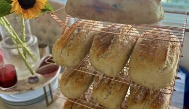 Coronado Culinary Crafters: From starter to loaf, Dibble Dough’s delicious journey
