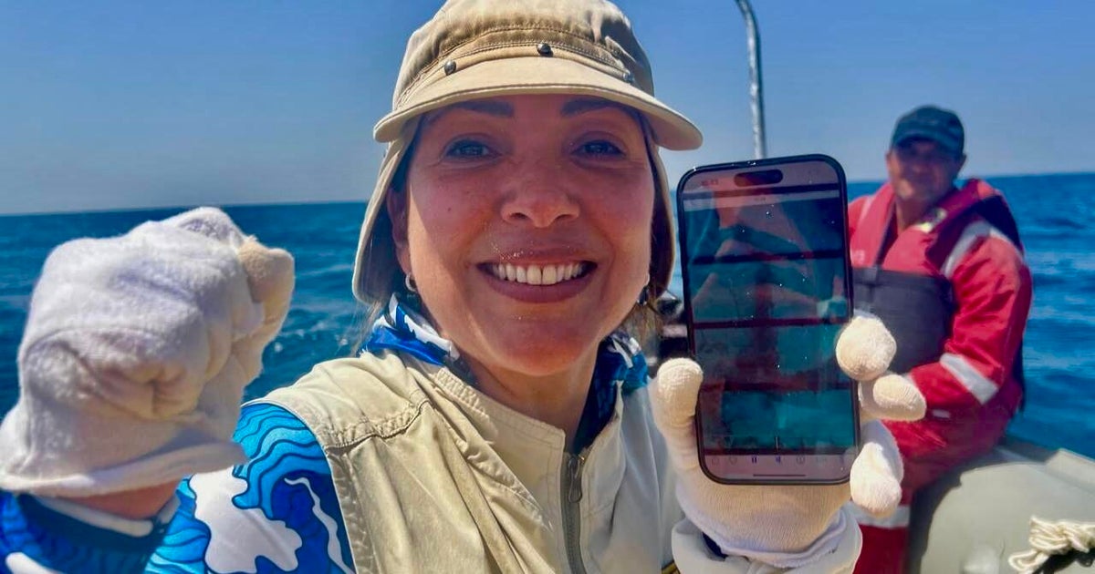 discovery-of-the-first-anchor-from-to-cbsdr-martine.jpg