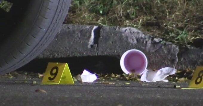 Shooting in Chicago's Douglass Park leaves man dead