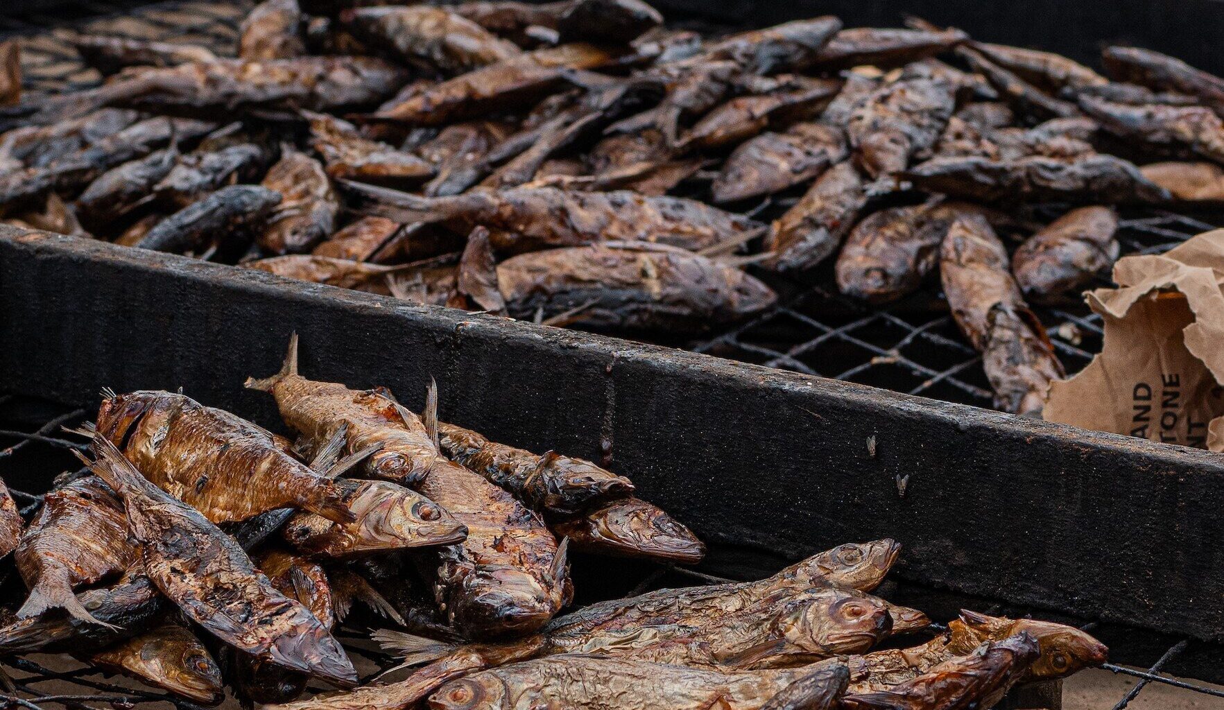 Dried fish—the hidden superfood vital for millions of women and children in Africa