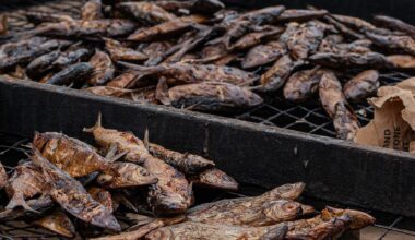Dried fish—the hidden superfood vital for millions of women and children in Africa