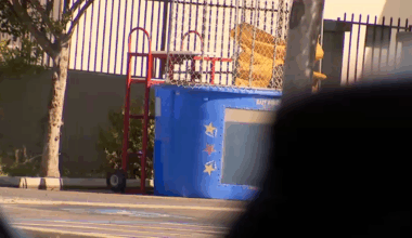 Child taken to hospital after near-drowning in dunk tank in Vista – NBC 7 San Diego