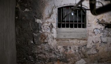 Trump wants 'insane asylums' back