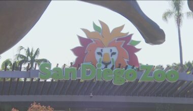 San Diego City Council to consider San Diego Zoo parking fees