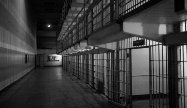 An Arizona man was sentenced to more than two years in prison for pointing a gun at a border patrol...