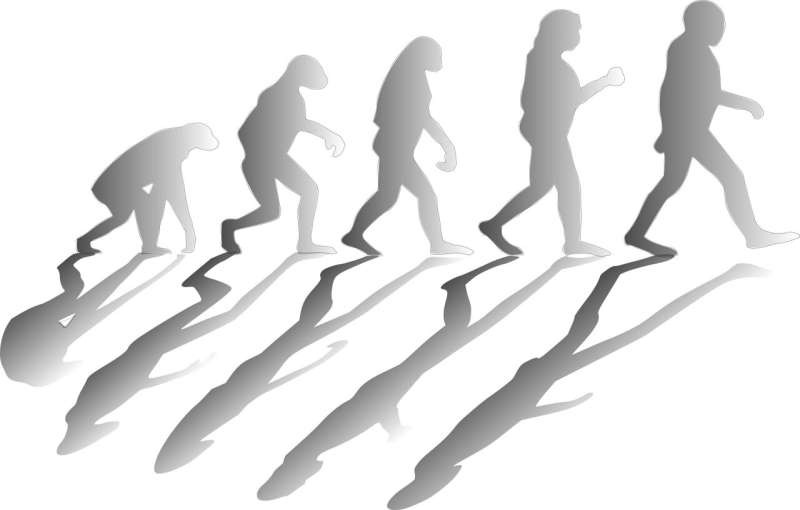 Credit: Pixabay/CC0 Public Domain evolution