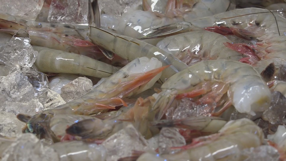 Duval County shrimping industry at risk without support, study warns