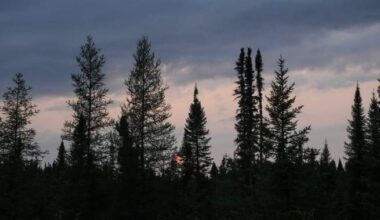 Ontario set to begin building road to the Ring of Fire