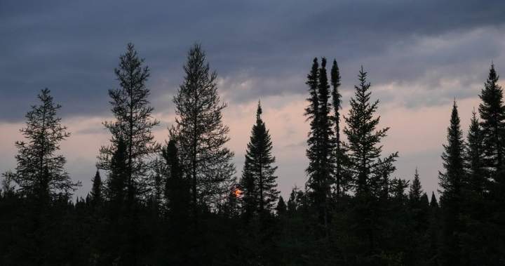 Ontario set to begin building road to the Ring of Fire