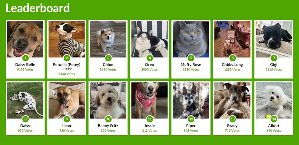 Top 12 in Jacksonville's Cutest Pet competition 2025