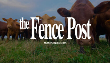 Kopecky joins Seitec Genetics | TheFencePost.com