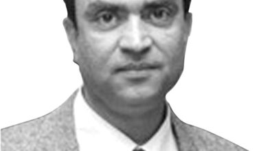 Economy of Genetic Resources