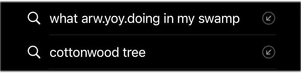 Search history showing "what arw yoy doing in my swamp" and "cottonwood tree."