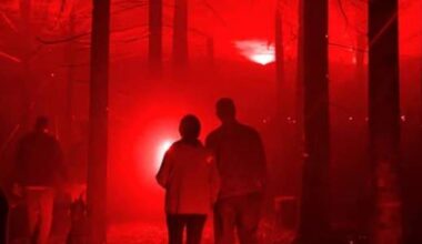 Halloween experience will plunge you into Dallas forest
