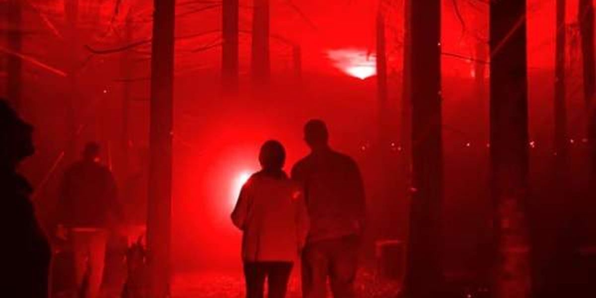 Halloween experience will plunge you into Dallas forest