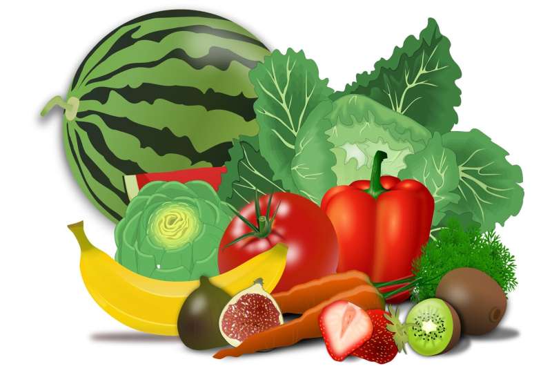 fruits and vegetables