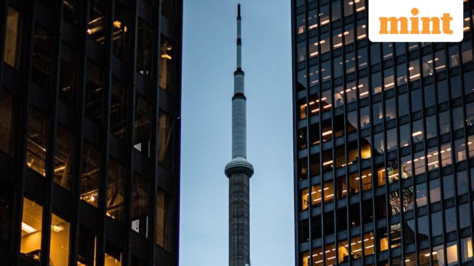 Why Redditor chose to return to Canada.