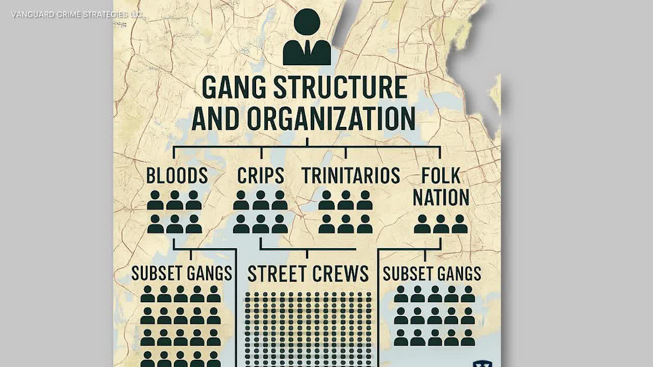 NYC gang members are getting younger