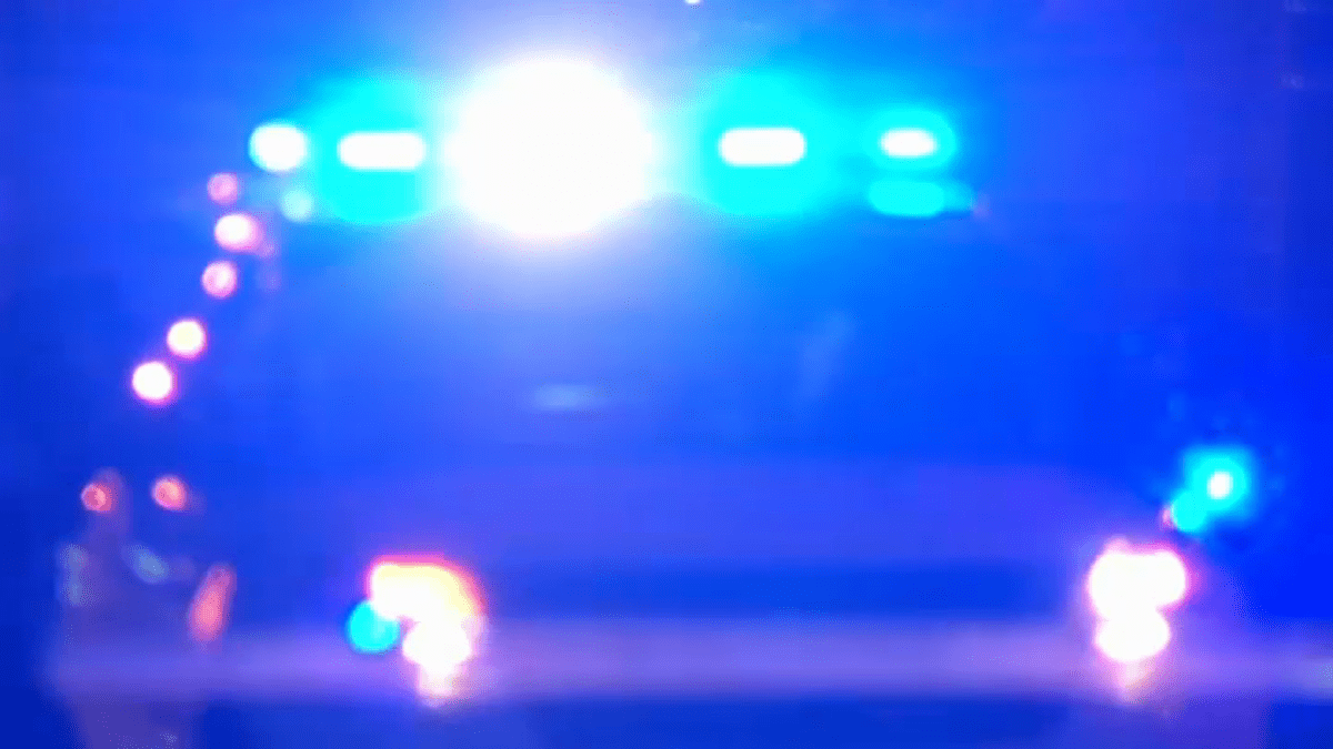 Body of infant pulled from Lake Michigan near Museum Campus – NBC Chicago