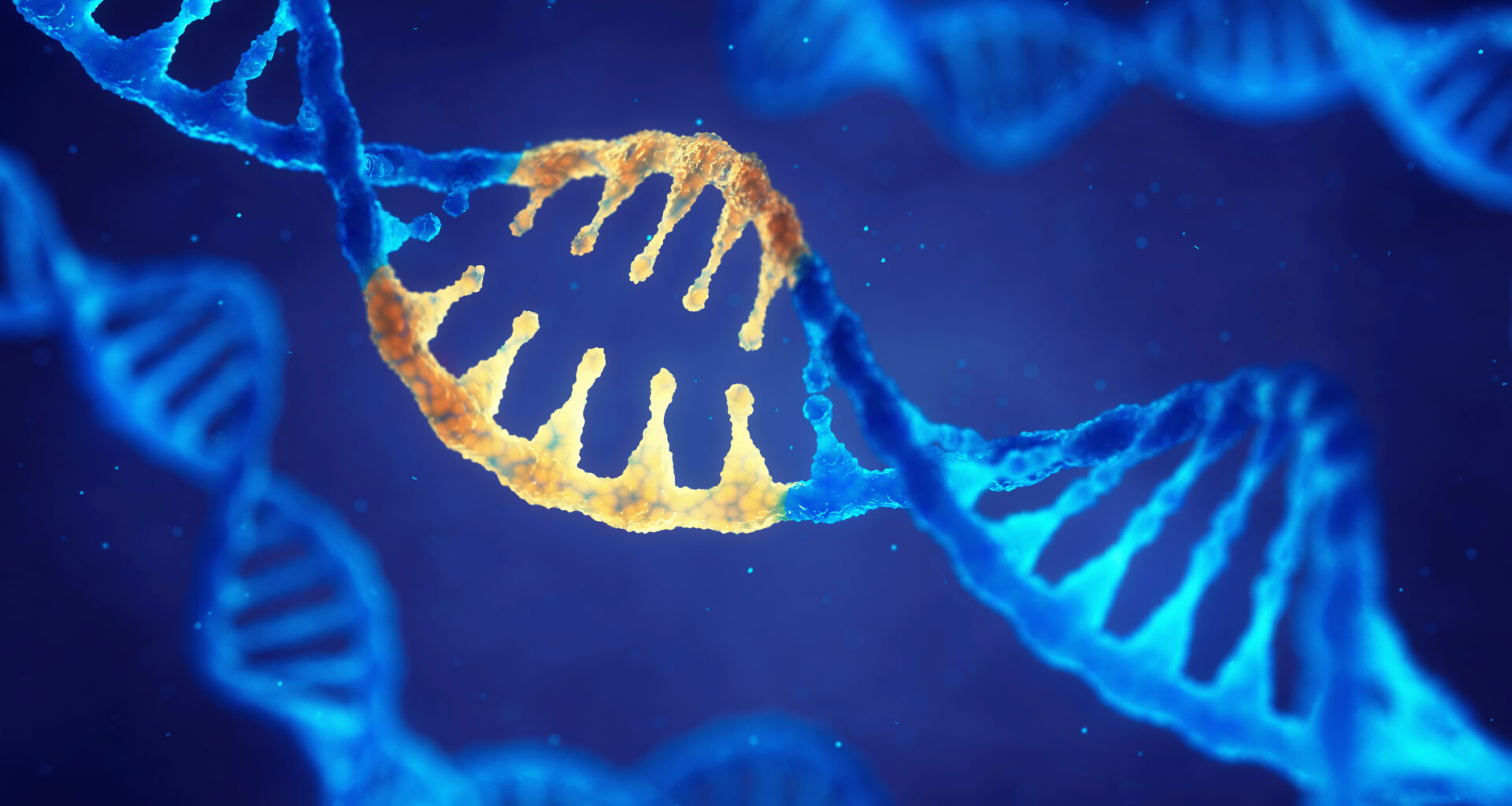 Inherited Variants in 16 Genes May Double the Risk of Multiple Primary Cancers