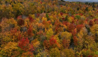 Fall foliage maps show when peak color is expected across the U.S. this year