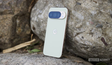 The Google Pixel 10 Pro in Jade, laying up against a rock.