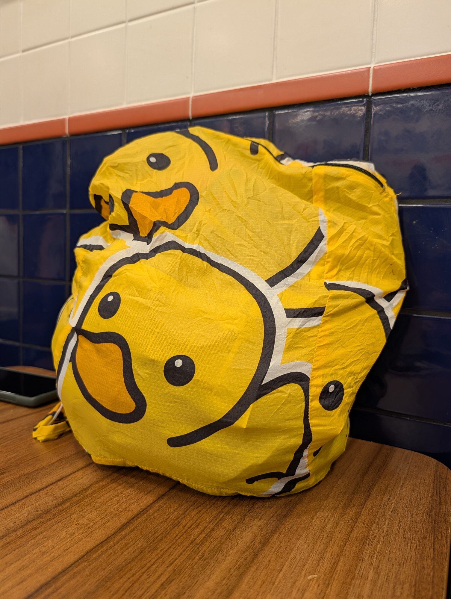 google pixel 10 pro xl camera sample yellow bag