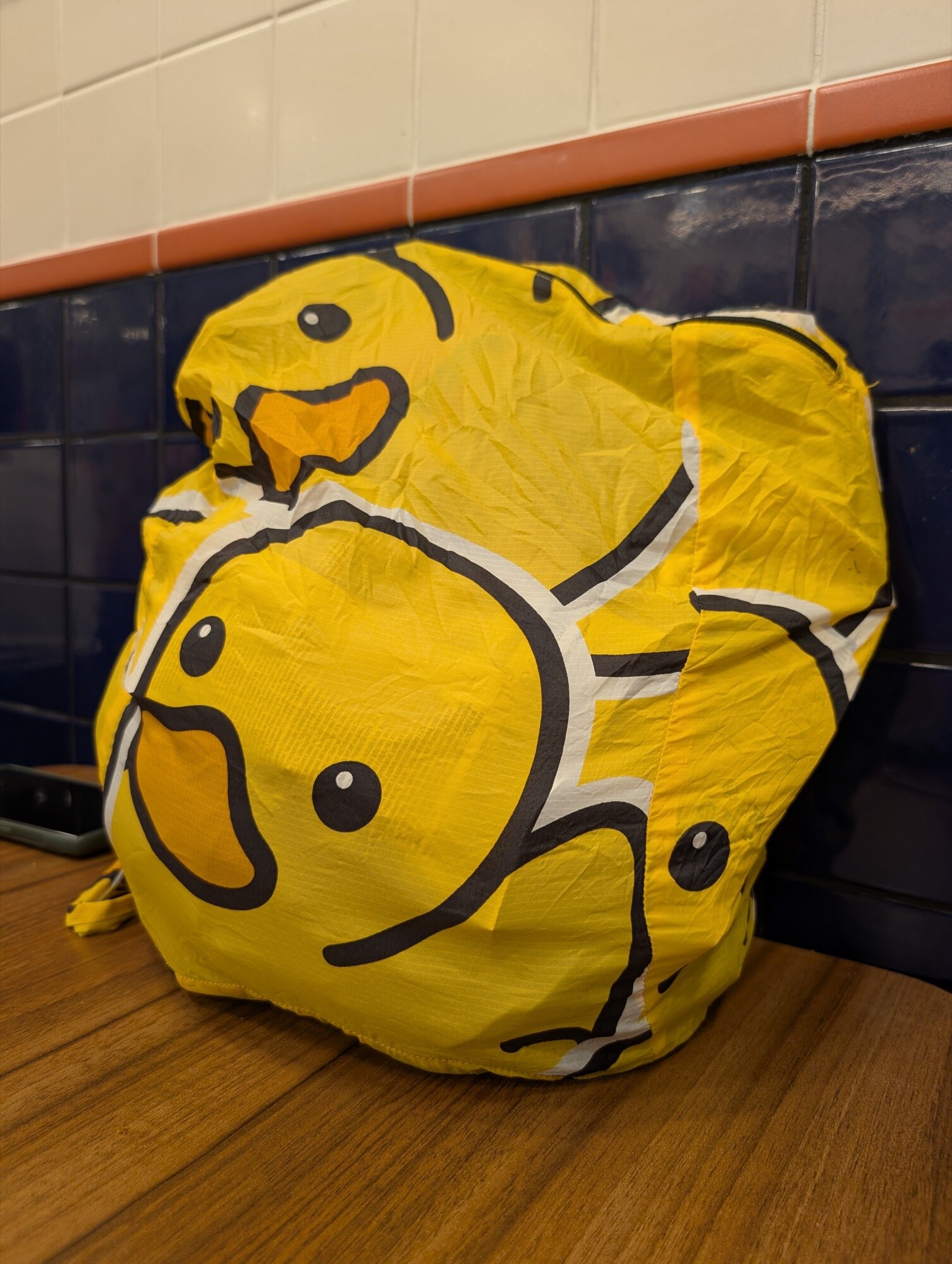 google pixel 9 pro xl camera sample yellow bag