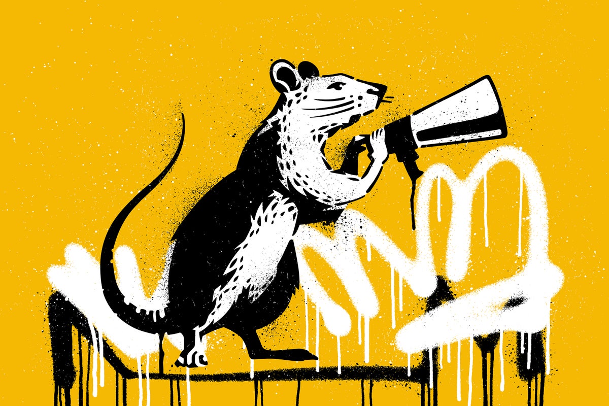 Scientists Map Nightlife and Communication of NYC Rats to Help Urban Planning and Pest Control