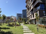 Apple iPhone 17: 24MP main camera samples - f/2.2, ISO 32, 1/770s - Apple iPhone 17 review