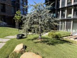 Apple iPhone 17: 48MP main camera samples - f/1.6, ISO 40, 1/1511s - Apple iPhone 17 review