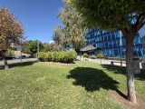Daylight samples, ultrawide camera (0.5x), 24MP - f/2.2, ISO 40, 1/770s - Apple iPhone 17 Pro Max review