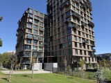 Daylight samples, main camera (1x), 24MP - f/1.8, ISO 80, 1/2801s - Apple Iphone 17 Pro Max review