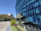 Daylight samples, main camera (1x), 24MP - f/1.8, ISO 80, 1/2801s - Apple Iphone 17 Pro Max review